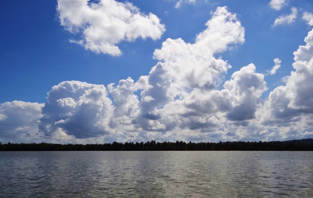 Foto: Bahía de Samaná - Parque Nacional Los Haitises (Hato Mayor), República Dominicana