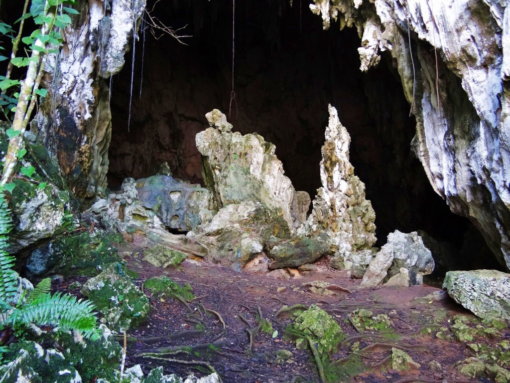 Foto: Cueva de San Gabriel - Parque Nacional Los Haitises (Hato Mayor), República Dominicana