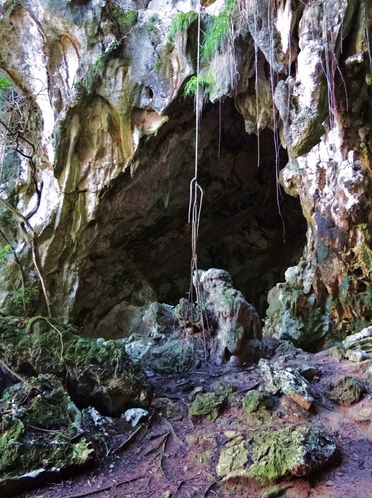 Foto: Cueva de San Gabriel - Parque Nacional Los Haitises (Hato Mayor), República Dominicana
