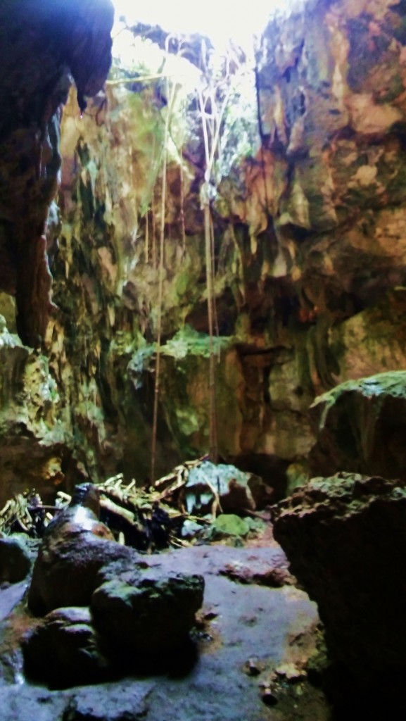 Foto: Cueva de San Gabriel - Parque Nacional Los Haitises (Hato Mayor), República Dominicana
