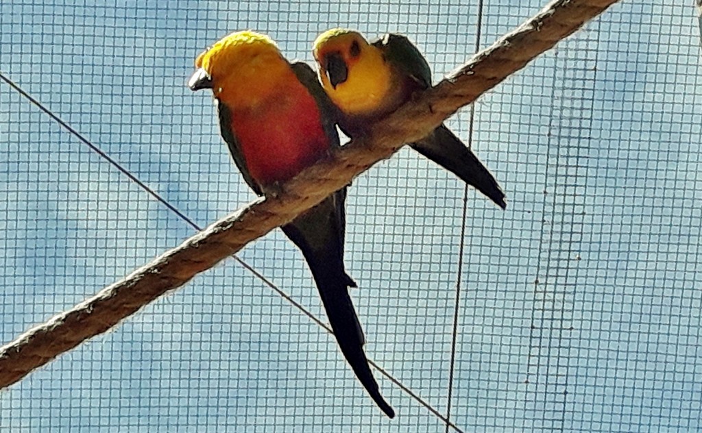 Foto: Parque Samá - Cambrils (Tarragona), España