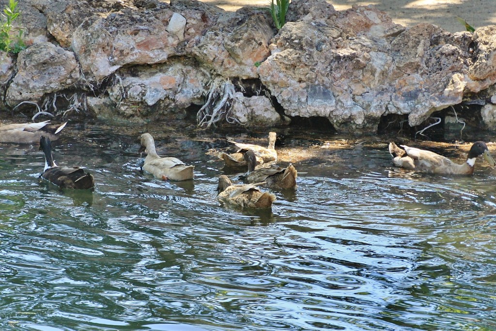 Foto: Parque Samá - Cambrils (Tarragona), España