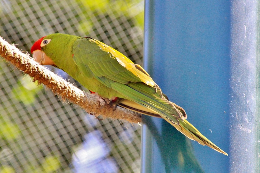 Foto: Parque Samá - Cambrils (Tarragona), España