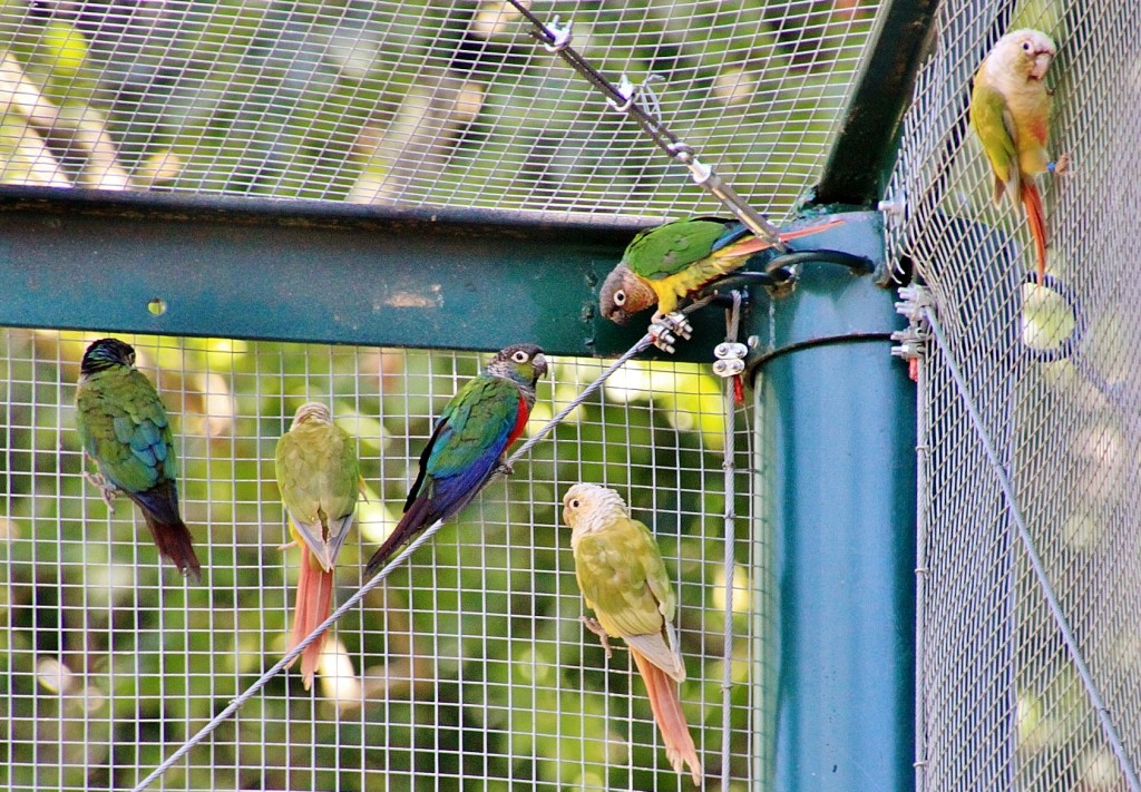 Foto: Parque Samá - Cambrils (Tarragona), España