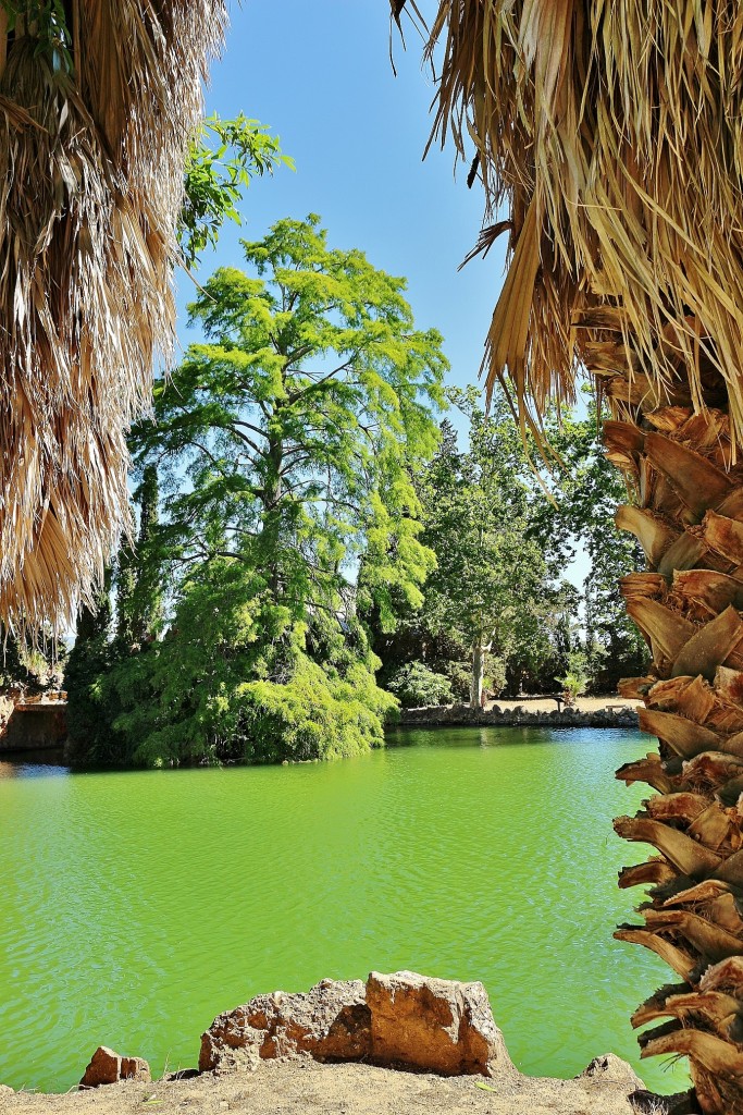 Foto: Parque Samá - Cambrils (Tarragona), España