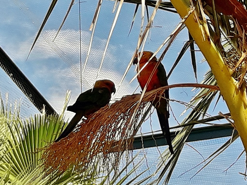 Foto: Parque Samá - Cambrils (Tarragona), España