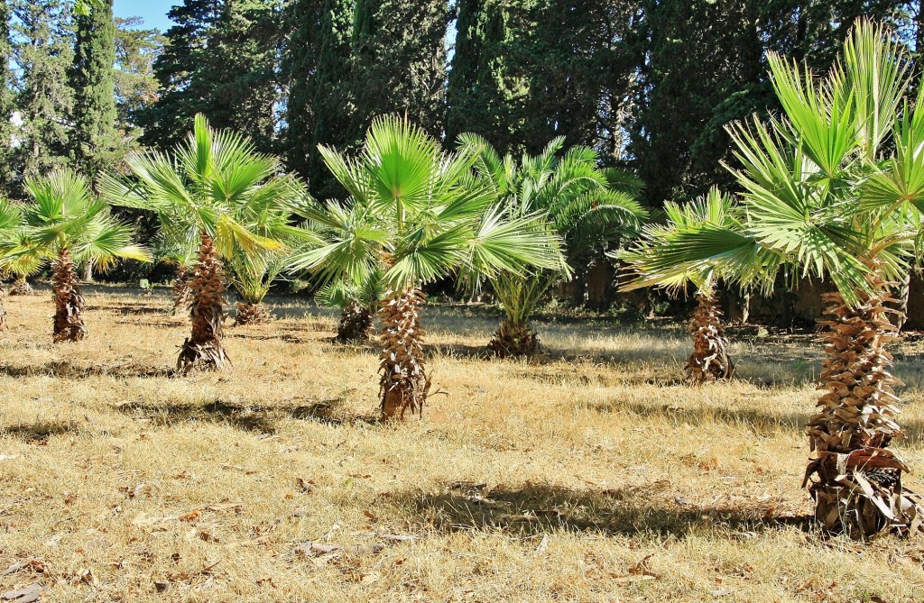 Foto: Parque Samá - Cambrils (Tarragona), España