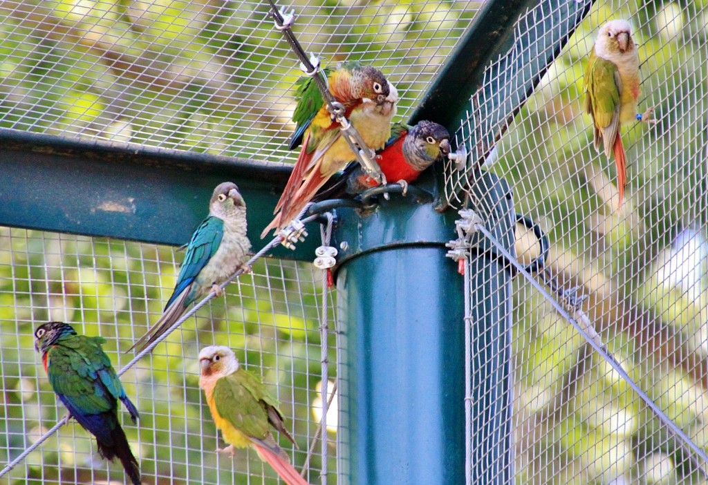 Foto: Parque Samá - Cambrils (Tarragona), España