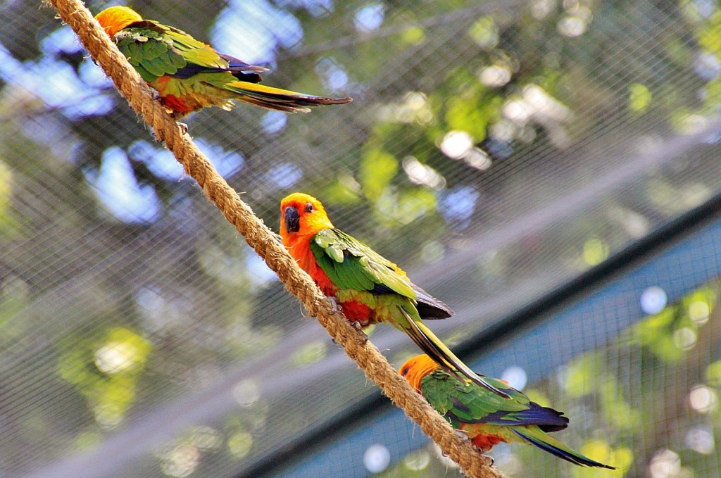 Foto: Parque Samá - Cambrils (Tarragona), España