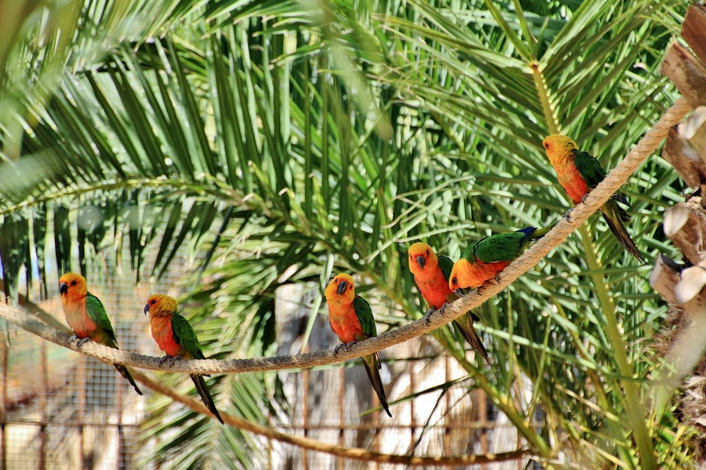 Foto: Parque Samá - Cambrils (Tarragona), España
