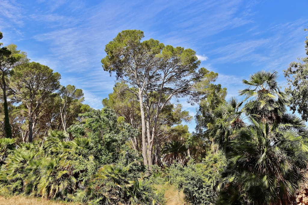 Foto: Parque Samá - Cambrils (Tarragona), España