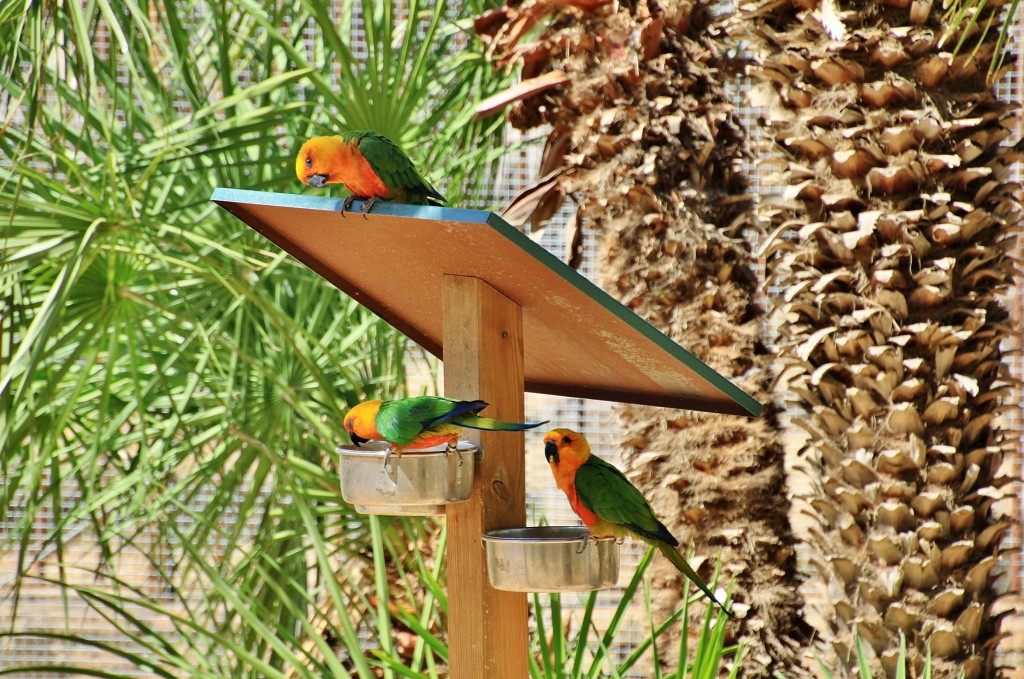 Foto: Parque Samá - Cambrils (Tarragona), España