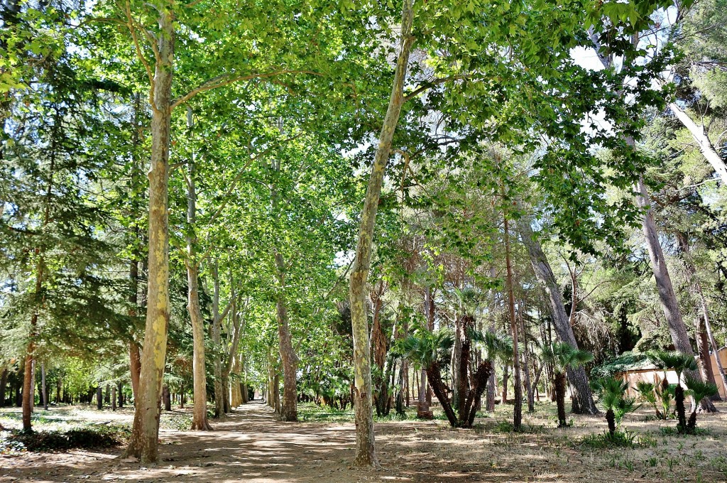Foto: Parque Samá - Cambrils (Tarragona), España