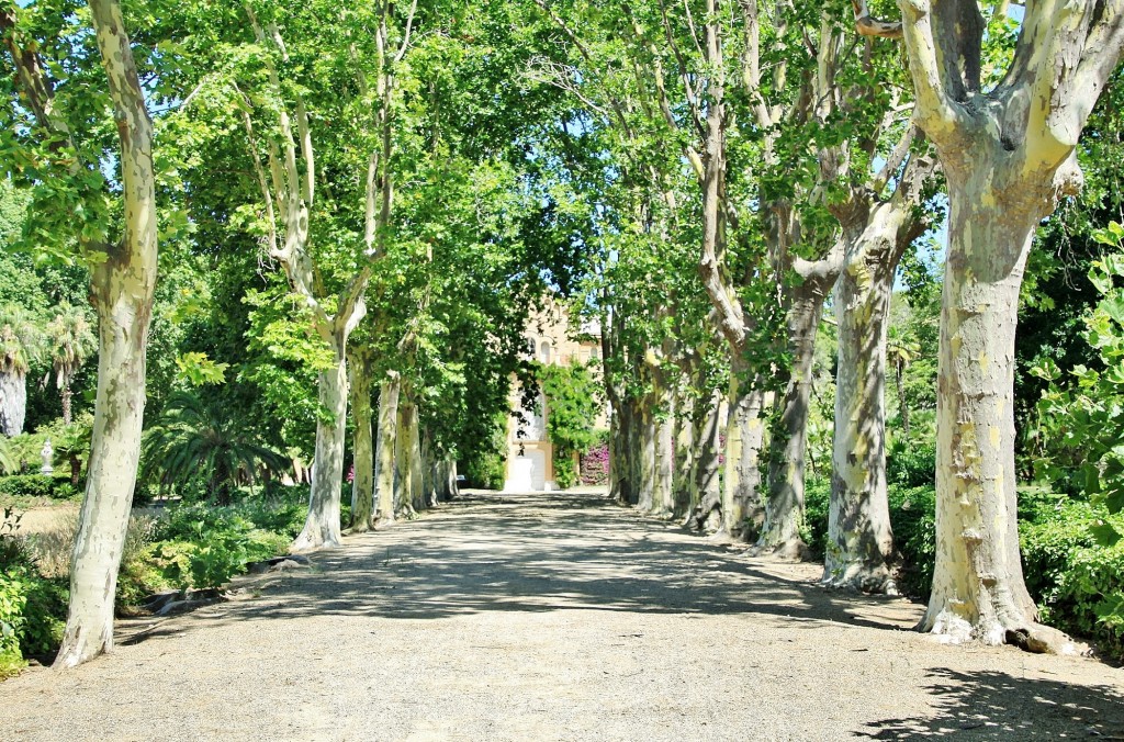 Foto: Parque Samá - Cambrils (Tarragona), España