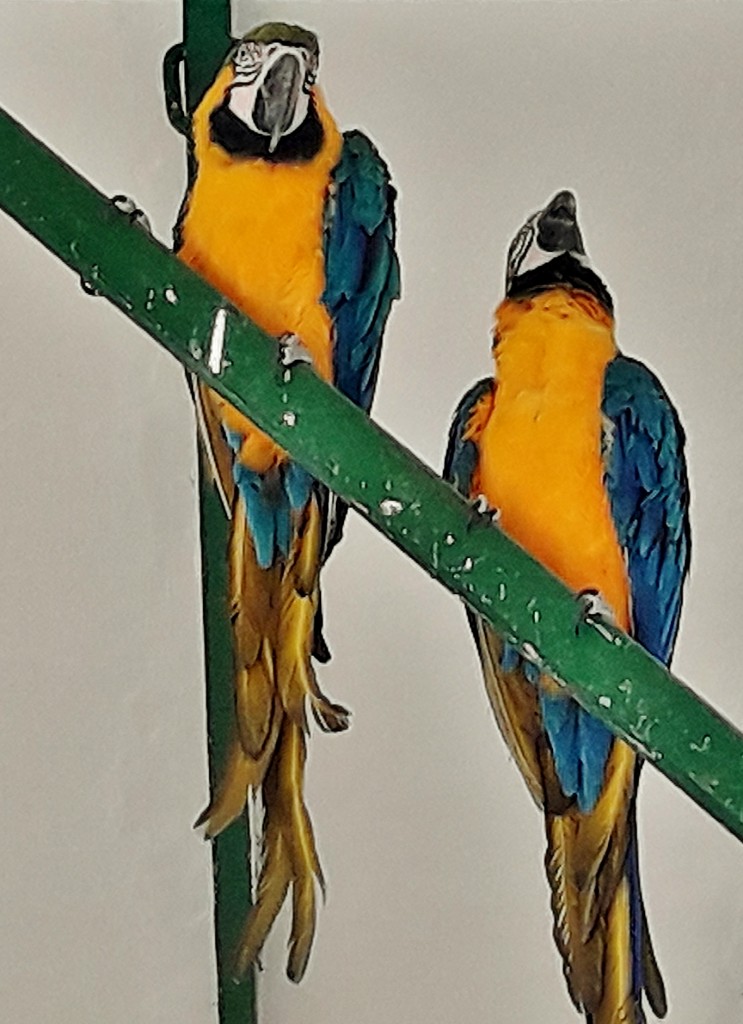 Foto: Parque Samá - Cambrils (Tarragona), España