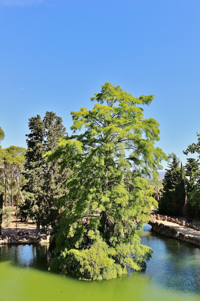 Foto: Parque Samá - Cambrils (Tarragona), España