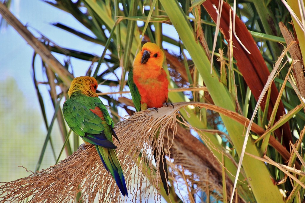 Foto: Parque Samá - Cambrils (Tarragona), España