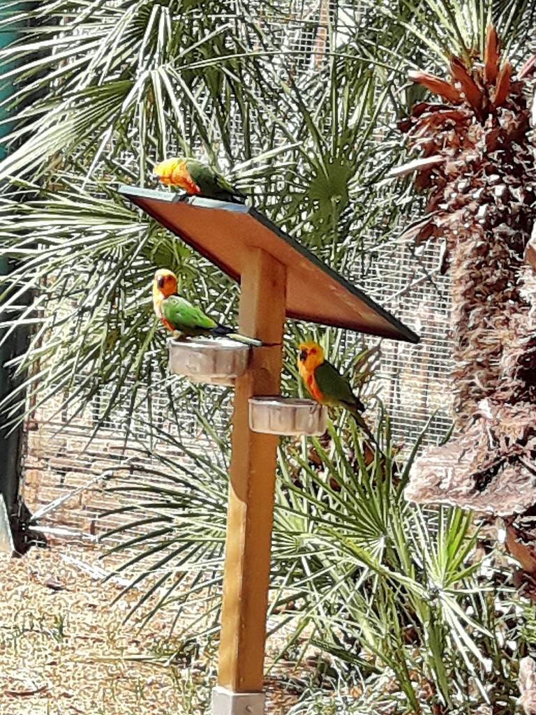 Foto: Parque Samá - Cambrils (Tarragona), España