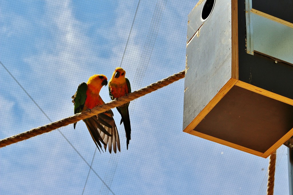 Foto: Parque Samá - Cambrils (Tarragona), España