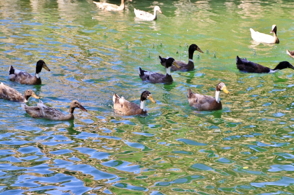 Foto: Parque Samá - Cambrils (Tarragona), España