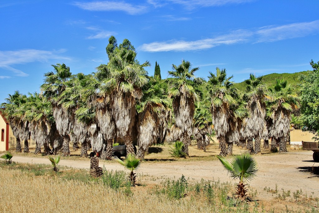 Foto: Parque Samá - Cambrils (Tarragona), España
