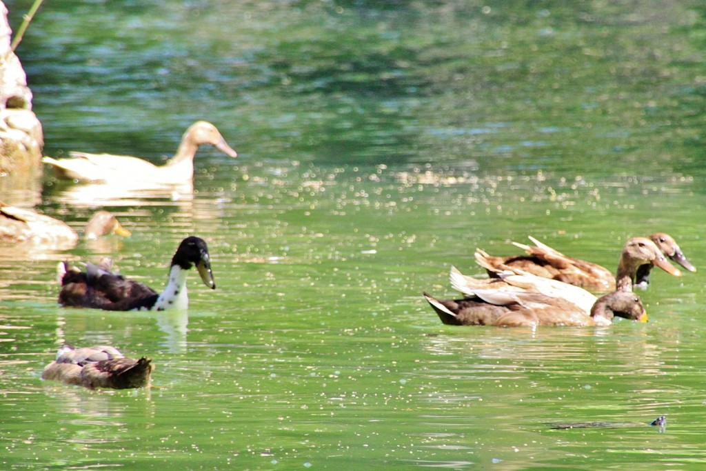 Foto: Parque Samá - Cambrils (Tarragona), España