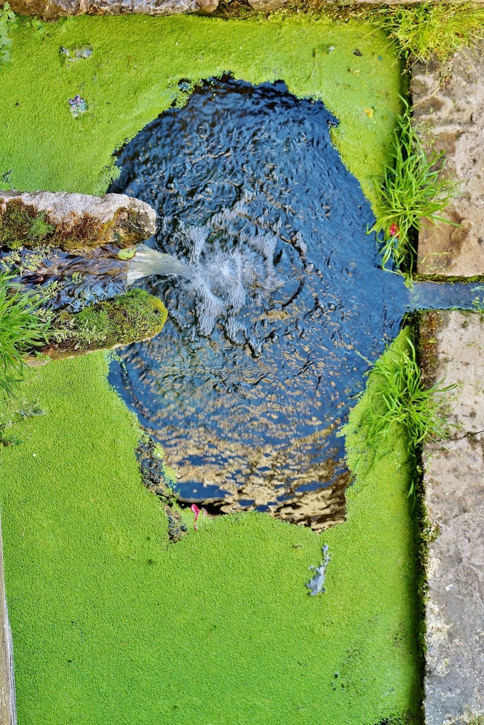 Foto: Centro histórico - Camprodón (Girona), España