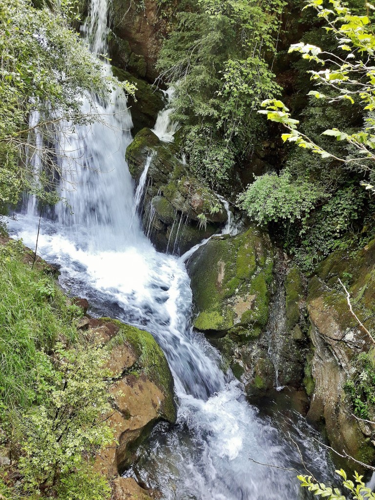 Foto: Fuentes del río Llobregat - Castellar de n´Hug (Barcelona), España