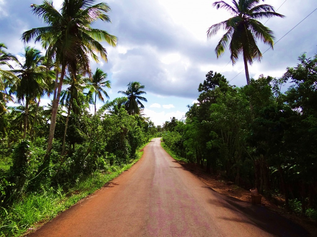Foto: Carretera a Playa Rincón - Samaná, República Dominicana