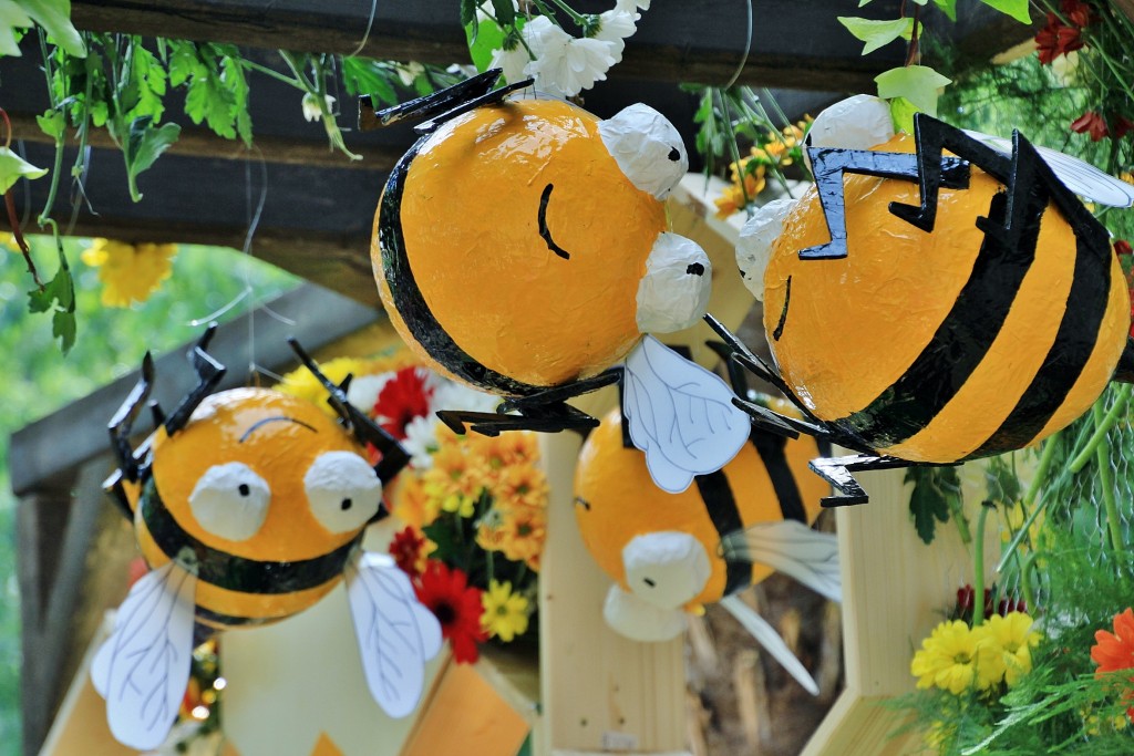Foto: Girona tiempo de flores - Girona (Cataluña), España