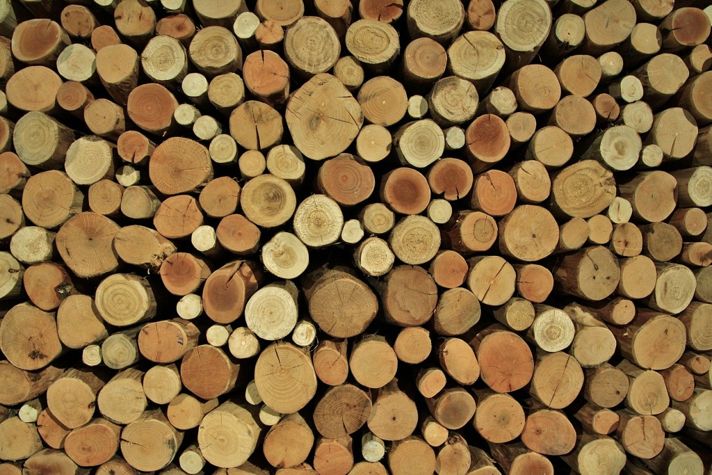 Foto: Girona tiempo de flores - Girona (Cataluña), España