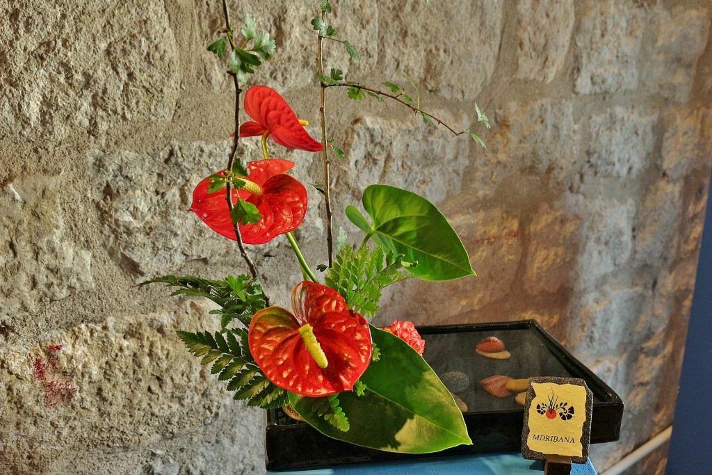 Foto: Girona tiempo de flores - Girona (Cataluña), España