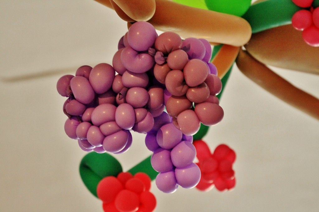 Foto: Girona tiempo de flores - Girona (Cataluña), España