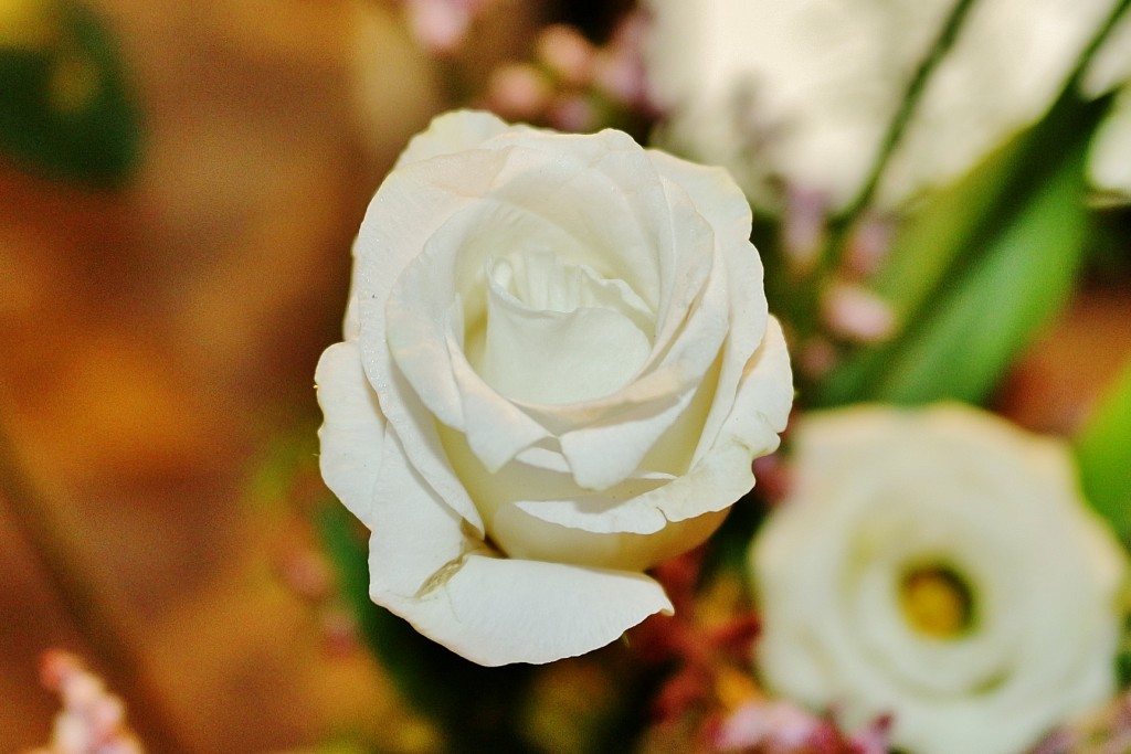 Foto: Girona tiempo de flores - Girona (Cataluña), España