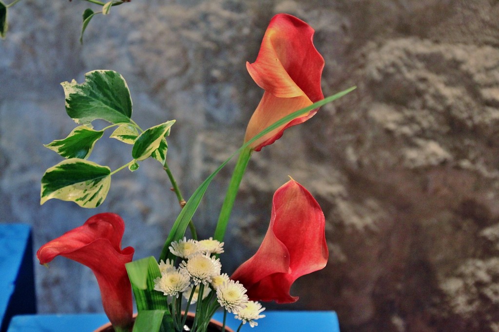 Foto: Girona tiempo de flores - Girona (Cataluña), España