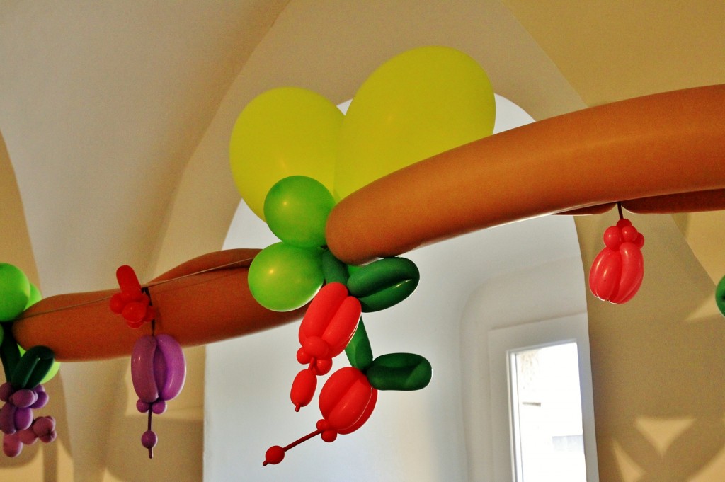 Foto: Girona tiempo de flores - Girona (Cataluña), España