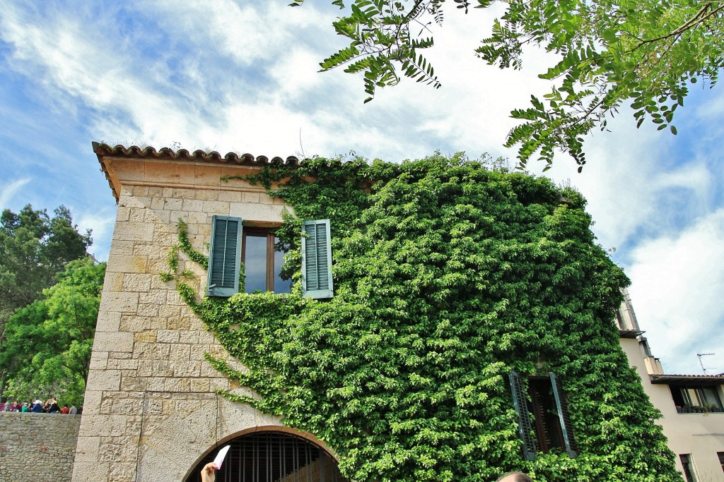 Foto: Girona tiempo de flores - Girona (Cataluña), España
