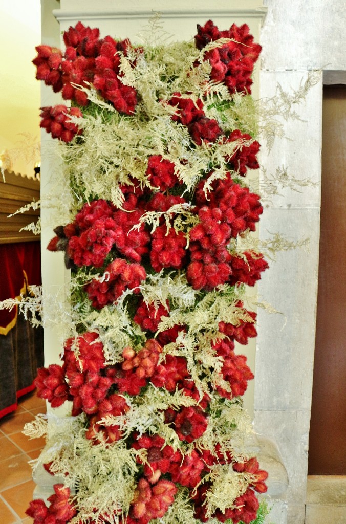 Foto: Girona tiempo de flores - Girona (Cataluña), España