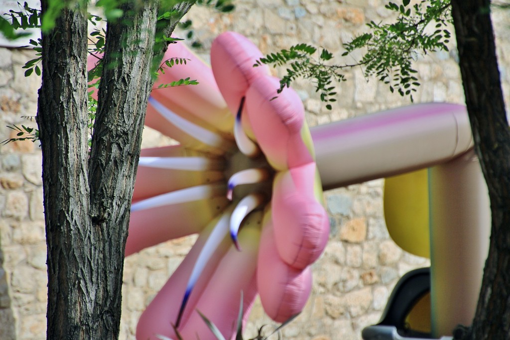 Foto: Girona tiempo de flores - Girona (Cataluña), España