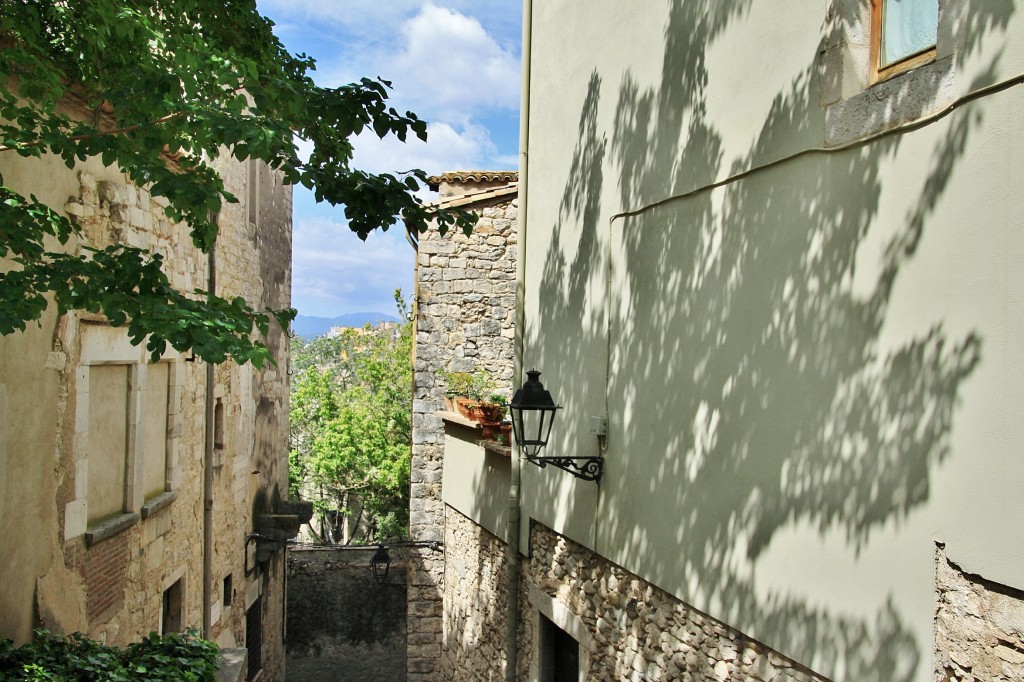 Foto: Girona tiempo de flores - Girona (Cataluña), España