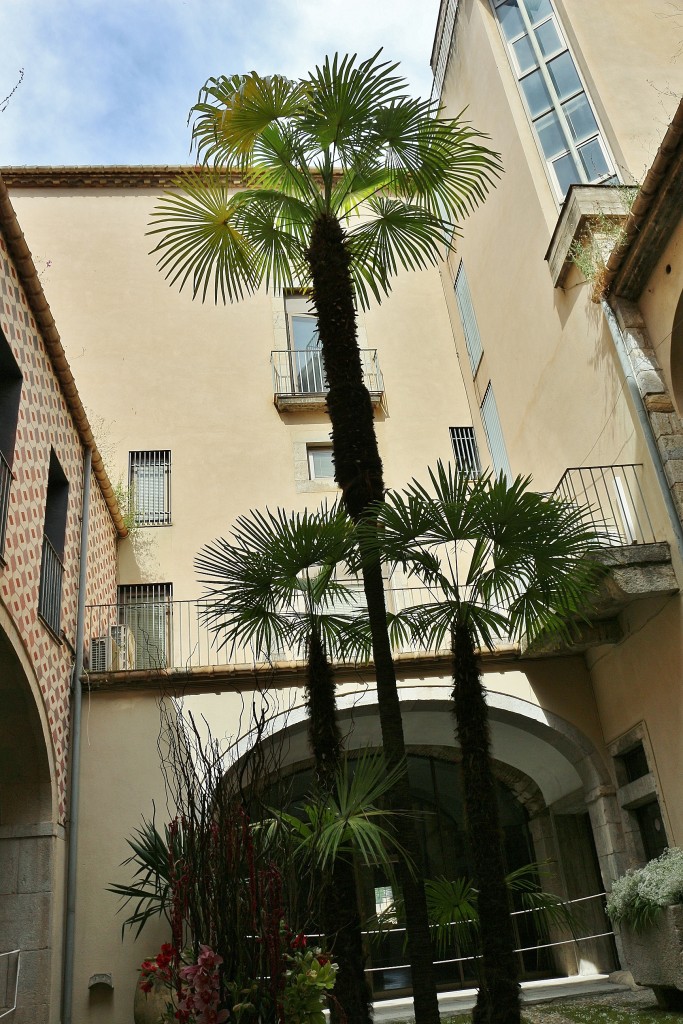 Foto: Girona tiempo de flores - Girona (Cataluña), España