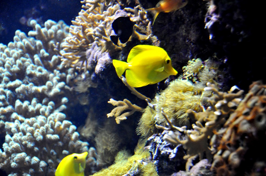 Foto de Valencia (València), España