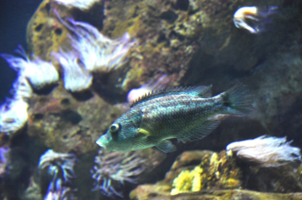 Foto de Valencia (València), España