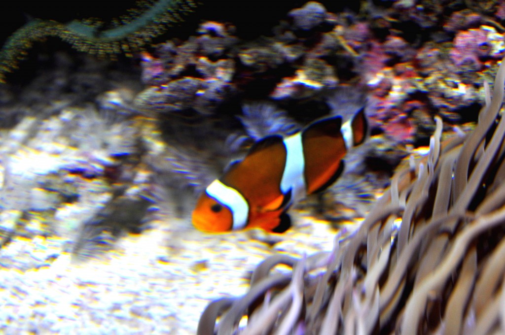 Foto de Valencia (València), España