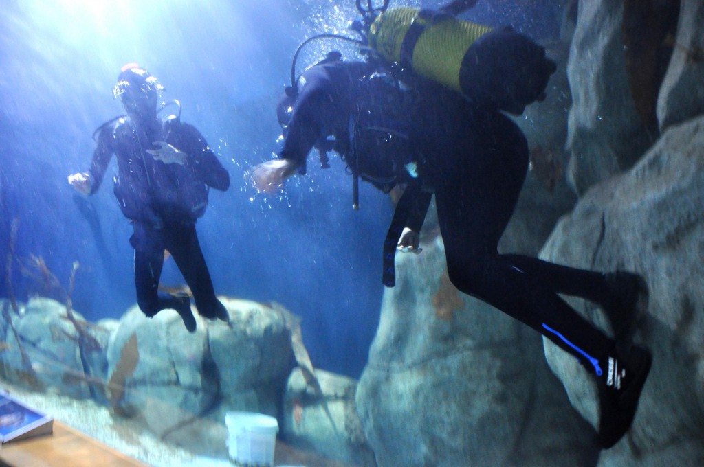 Foto de Valencia (València), España