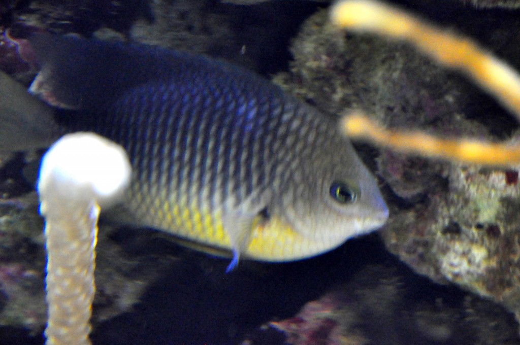 Foto de Valencia (València), España