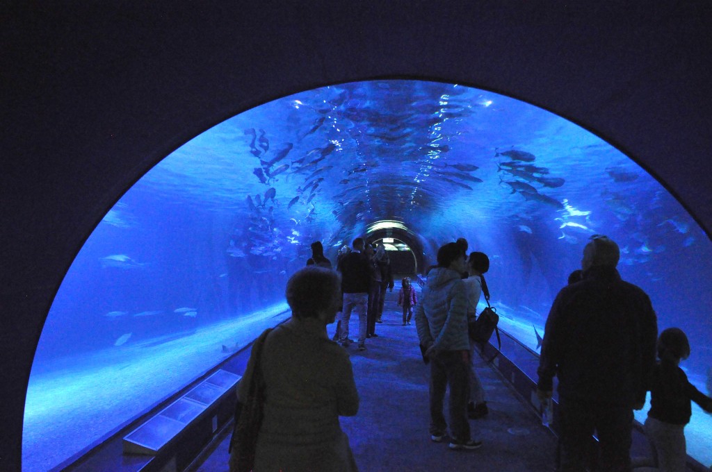 Foto de Valencia (València), España