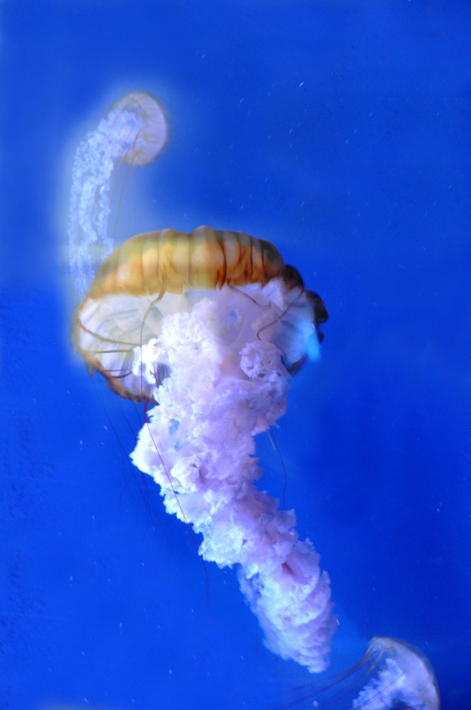 Foto de Valencia (València), España