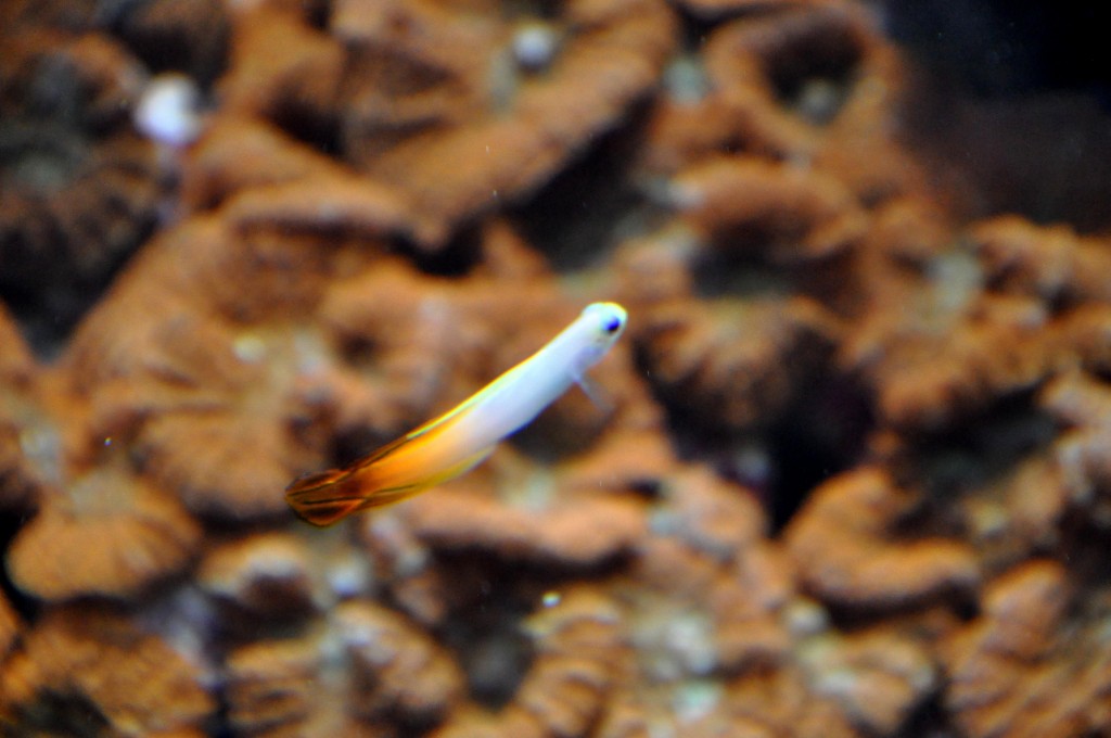 Foto de Valencia (València), España