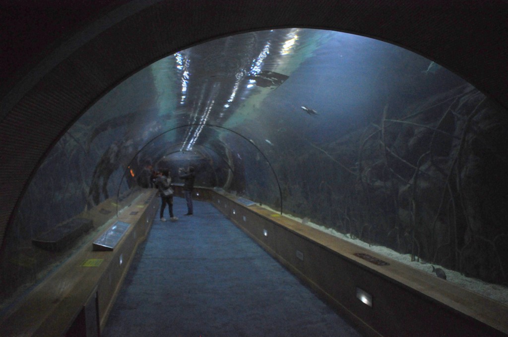 Foto de Valencia (València), España